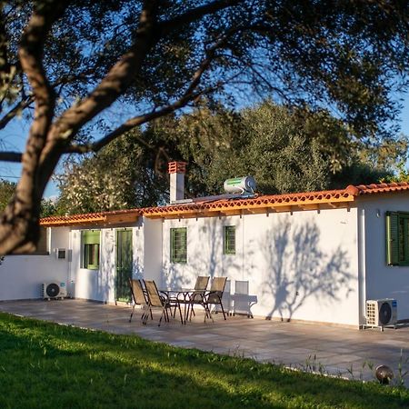 House By The Sea Βίλα Αίγιο Εξωτερικό φωτογραφία